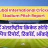 Dubai International Cricket Stadium Pitch Report