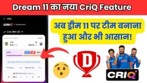 Dream11 CriQ Feature