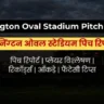 Kennington Oval Stadium Pitch Report In Hindi