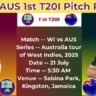 WI vs AUS T20 Pitch Report In Hindi