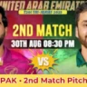 UAE vs PAK 2nd Match Pitch Report In Hindi