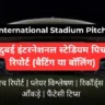 Dubai International Stadium Pitch Report In Hindi
