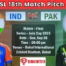 IND vs PAK Final Match Pitch Report In Hindi