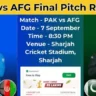 PAK vs AFG Final Pitch Report