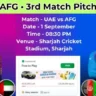 UAE vs AFG 3rd Match Pitch Report