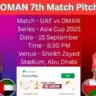 UAE vs OMAN 7th Match Pitch Report