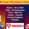 WI vs NEP 2nd T20 Match Pitch Report In Hindi
