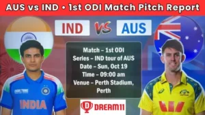 AUS vs IND 1st ODI Pitch Report In Hindi