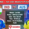 AUS vs IND 1st ODI Pitch Report In Hindi
