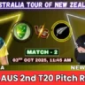 NZ vs AUS 2nd T20 Match Pitch Report In Hindi