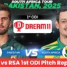 PAK vs RSA 1st ODI Pitch Report In Hindi